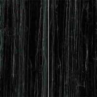 Titanium Zebrino black