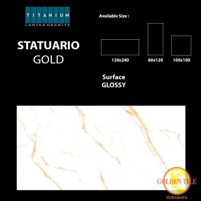 Titanium granite statuario gold glossy