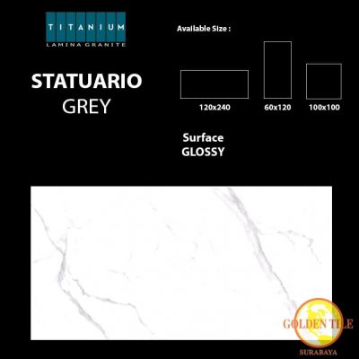 Titanium granite statuario grey