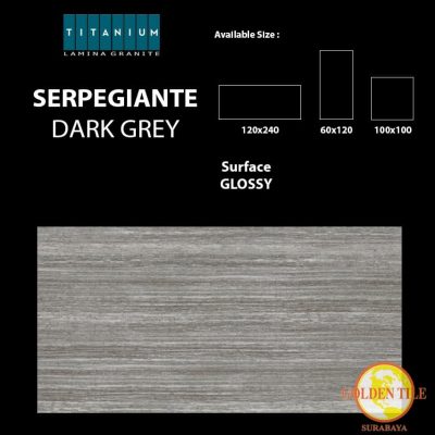 Titanium Granite Serpegiante Dark Grey Glossy