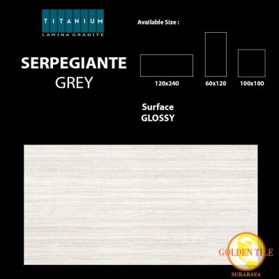 Titanium granite serpegiante grey glossy